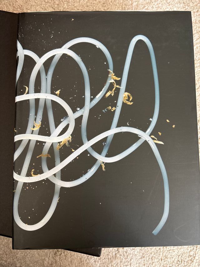 El Bulli IV, 2003-2004 (Spanish) (Spanish Edition)