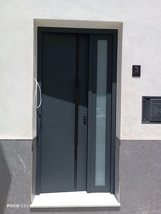 Puerta de calle aluminio gris