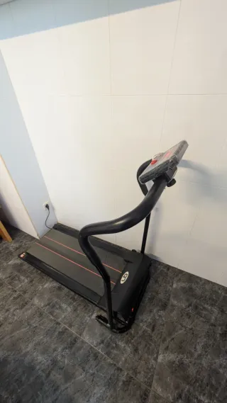 Cinta de correr de poco uso. Recogida en domicilio