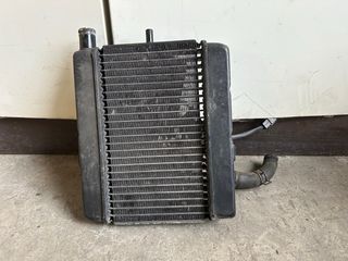 Radiatore Acqua Yamaha Majesty 250 1999