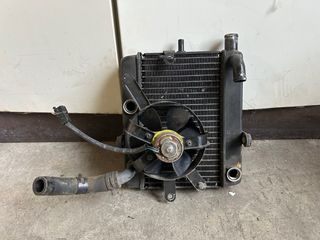 Radiatore Acqua Yamaha Majesty 250 1999