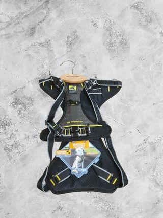 Arnés Y Cinturón De Seguridad Perro