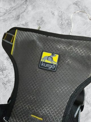 Arnés Y Cinturón De Seguridad Perro