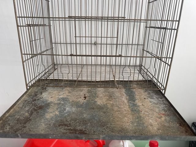 Jaula para pájaros metálica