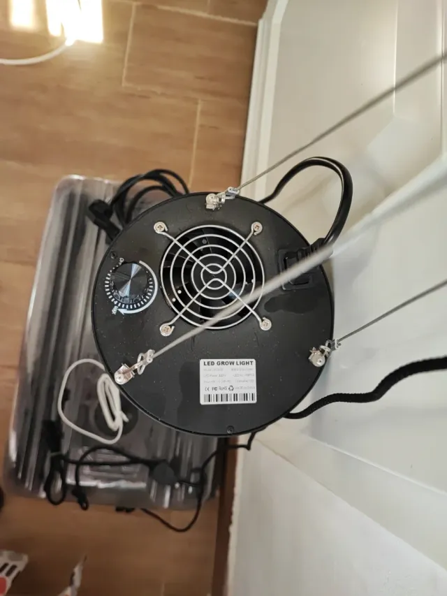 Kit Germinación Interior Completo