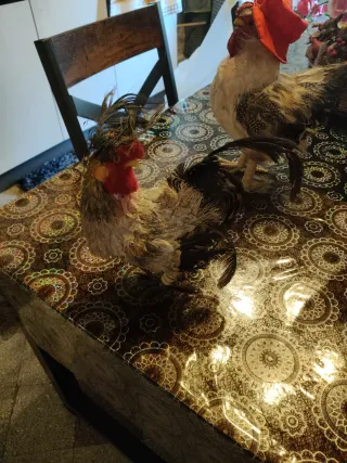 Antiquariato: galli decorativi sono 3