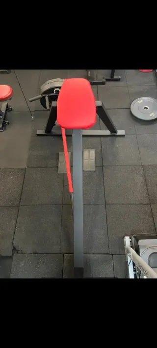 Máquina de Remo en Punta