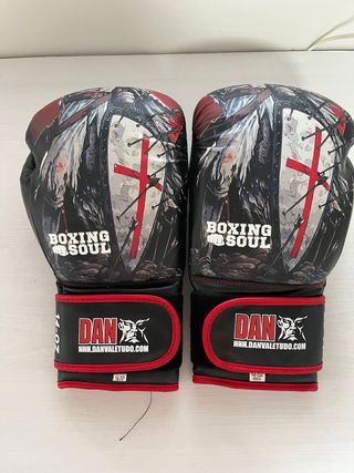 Guantes Boxeo Dan 14 oz