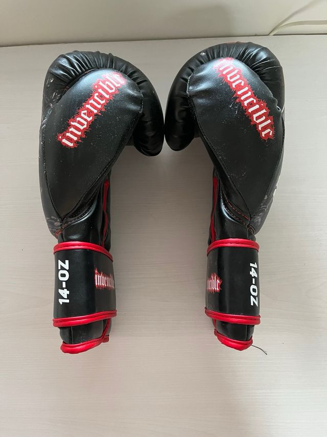 Guantes Boxeo Dan 14 oz