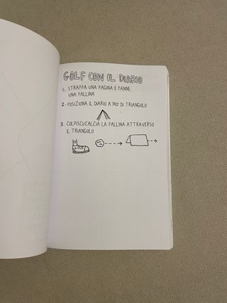 Distruggi questo diario