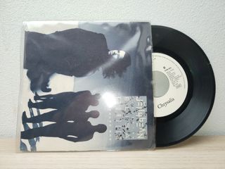 Elisa Fiorillo - Who Found Who 45 giri Vinile