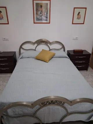 Estructura de cama de metal plateado