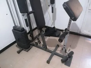 Gimnasio con poleas. Negociable o cambio .