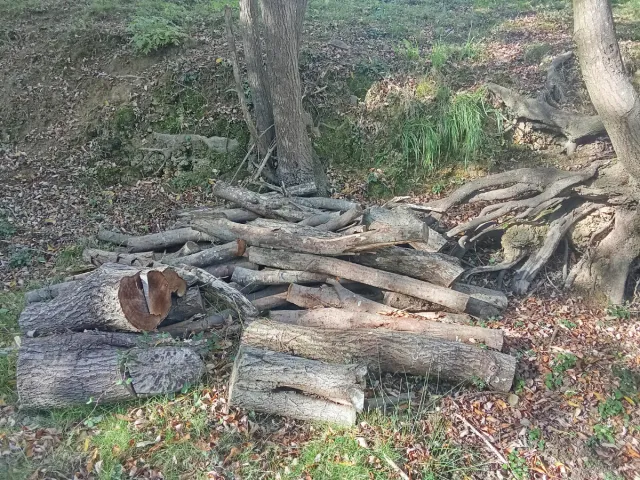 Se regalaLeña para chimenea