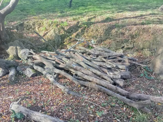 Se regalaLeña para chimenea