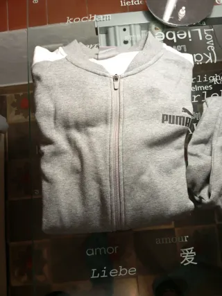 Conjunto deportivo Puma gris