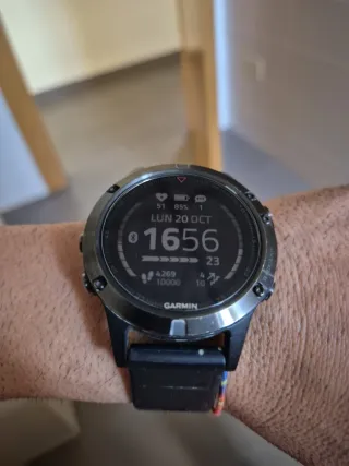 Garmin Fenix 5 Smartwatch Negro/Plata