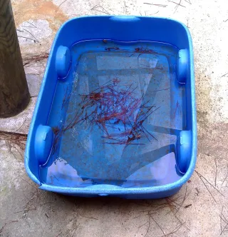 Fotocamera digitale vintage Chuzhao