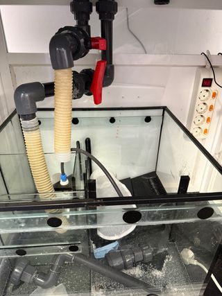 Acuario Marino 200L + Sump 70L