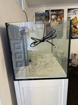 Acuario Marino 200L + Sump 70L