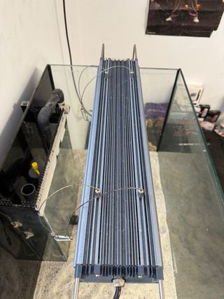 Acuario Marino 200L + Sump 70L
