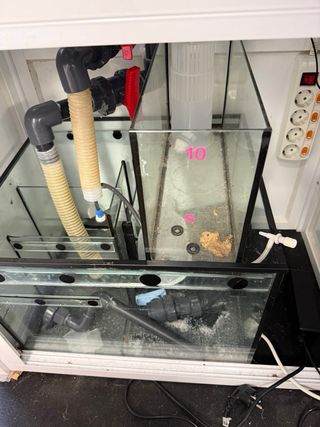Acuario Marino 200L + Sump 70L