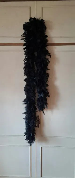 Boa de Plumas Negra