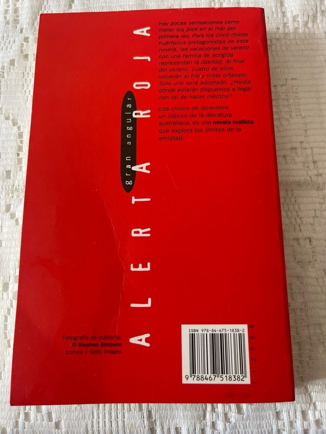 Los chicos de diciembre (Alerta roja) (Spanish ...