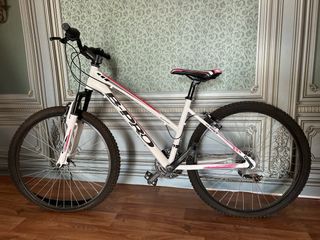 Bicicleta B-Pro M-100