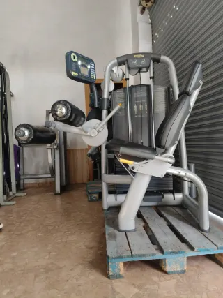 FEMORAL SENTADO TECHNOGYM SELECTION!
