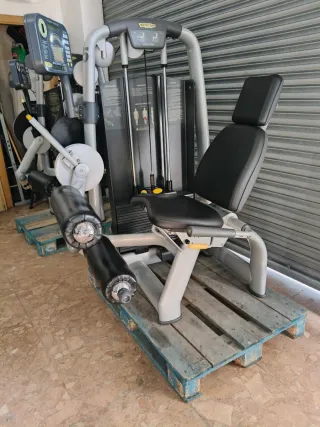 FEMORAL SENTADO TECHNOGYM SELECTION!