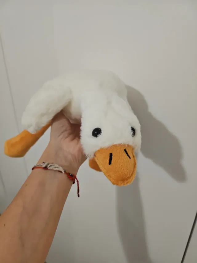 Peluche a forma di anatra.
