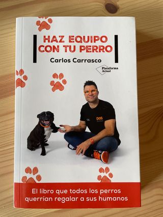 Haz equipo con tu perro