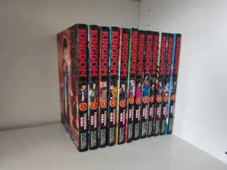Lote Manga Kingdom en español