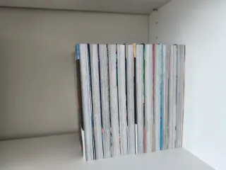 Lote Manga Kingdom en español