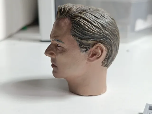 Testa Leonardo DiCaprio scala 1/6