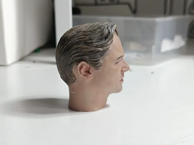 Testa Leonardo DiCaprio scala 1/6