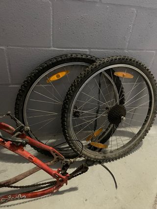 Estructura Bicicleta Sinergis Roja