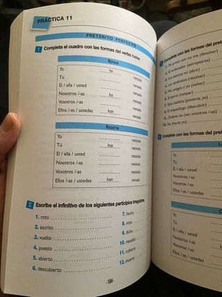 Verbos (Spanish Edition)