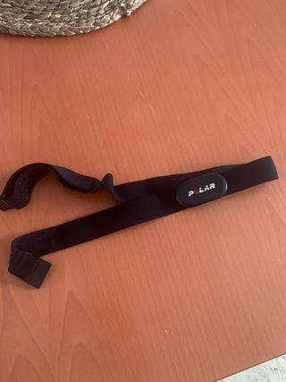 Cinta pectoral Polar