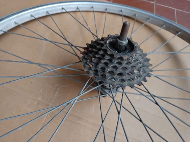 Cerchio bici 24 con pacco pignoni 6 velocità