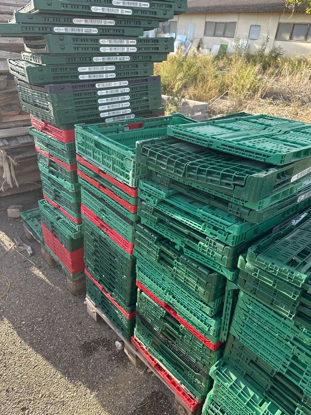 Cajas de plástico plegables varias medidas