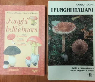 Funghi italiani. Conoscerli e riconoscerli