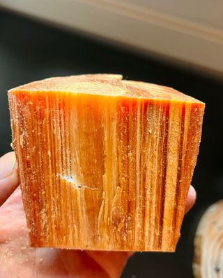 Fatwood Premium - Fuego Bushcraft y Supervivencia 