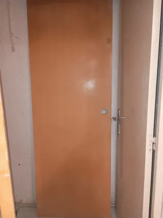 Puerta hueca de madera