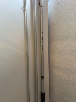 Caña Surfcasting Daiwa Prime Caster 30-425