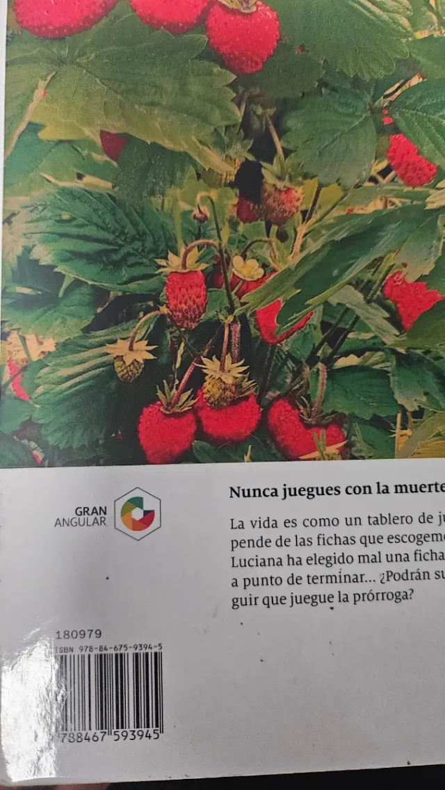Campos de fresas (Spanish Edition)