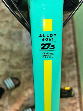 Bicicleta de montaña