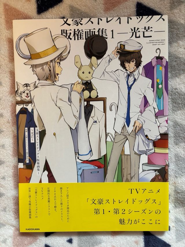 Bungou Stray Dogs Artbooks