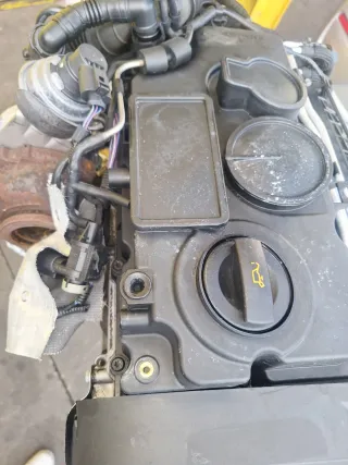 Motor Volkswagen Passat 2.0 TDI 170cv